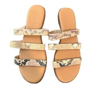 NWT MADEWELL BROWN CROC SANDALS